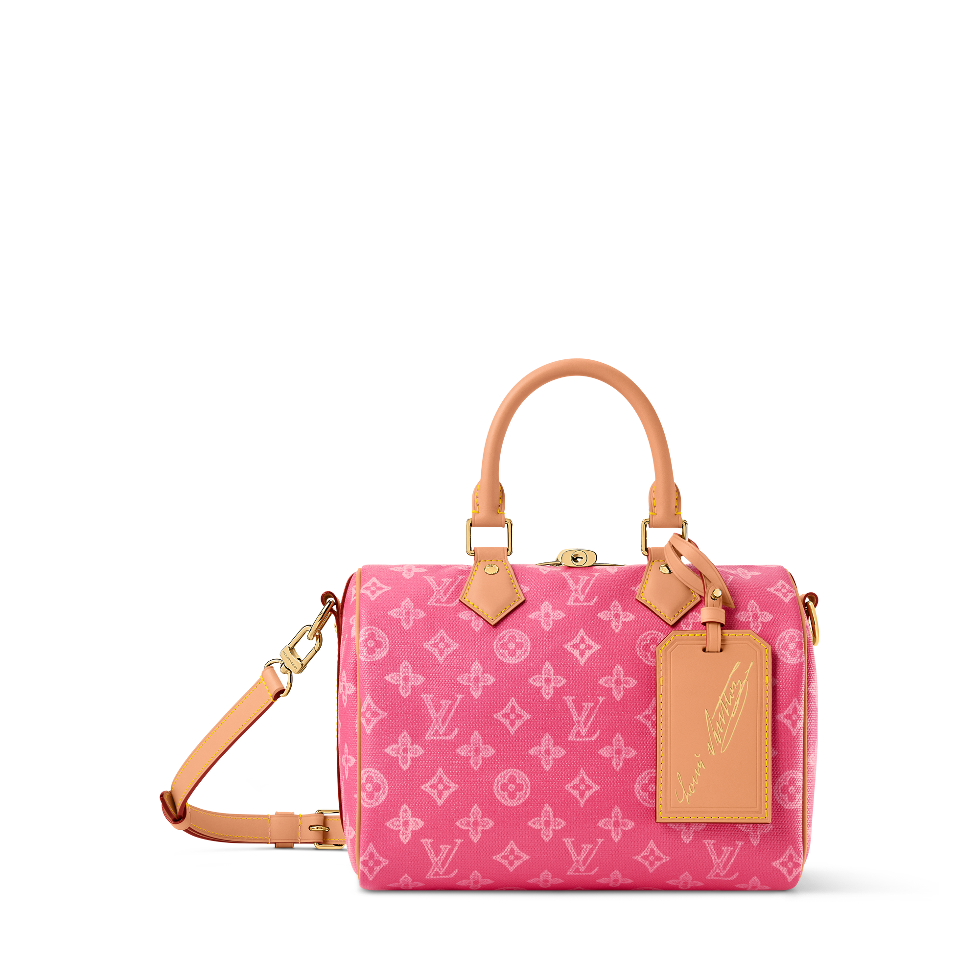 Speedy Bandouliere 25 Other Monogram Canvas - Women - Handbags